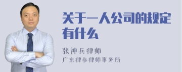 关于一人公司的规定有什么