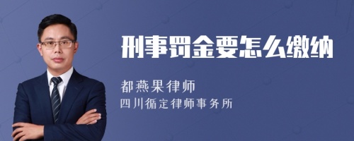 刑事罚金要怎么缴纳