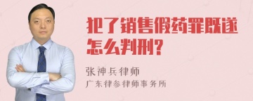 犯了销售假药罪既遂怎么判刑?