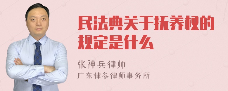 民法典关于抚养权的规定是什么