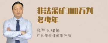 非法采矿300万判多少年