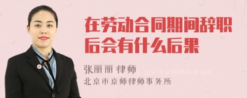 在劳动合同期间辞职后会有什么后果