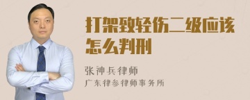 打架致轻伤二级应该怎么判刑