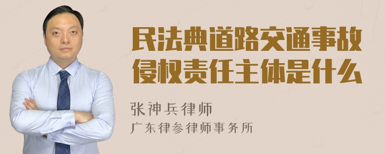 民法典道路交通事故侵权责任主体是什么