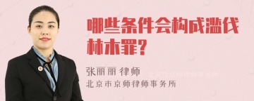 哪些条件会构成滥伐林木罪?