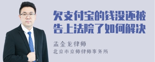 欠支付宝的钱没还被告上法院了如何解决