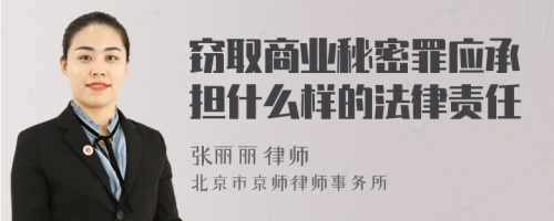 窃取商业秘密罪应承担什么样的法律责任