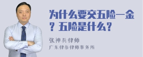 为什么要交五险一金？五险是什么？