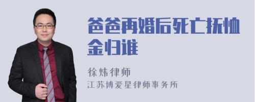 爸爸再婚后死亡抚恤金归谁