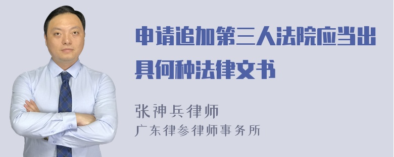 申请追加第三人法院应当出具何种法律文书