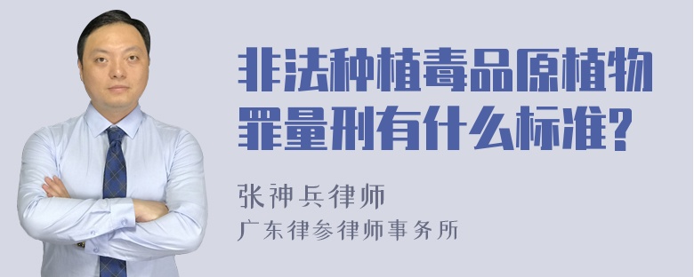 非法种植毒品原植物罪量刑有什么标准?