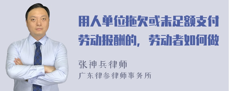 用人单位拖欠或未足额支付劳动报酬的，劳动者如何做