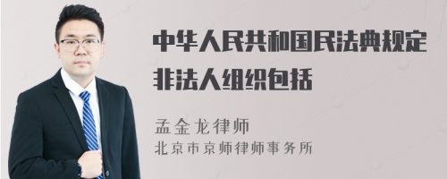 中华人民共和国民法典规定非法人组织包括
