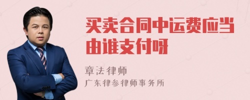 买卖合同中运费应当由谁支付呀