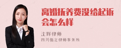 离婚抚养费没给起诉会怎么样