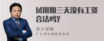 试用期三天没有工资合法吗?