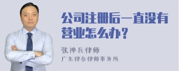 公司注册后一直没有营业怎么办？