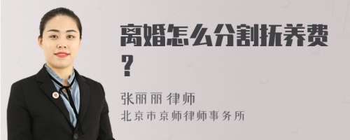 离婚怎么分割抚养费？