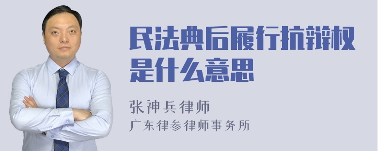 民法典后履行抗辩权是什么意思