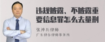 违规披露、不披露重要信息罪怎么去量刑