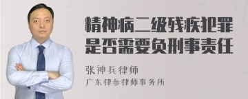 精神病二级残疾犯罪是否需要负刑事责任