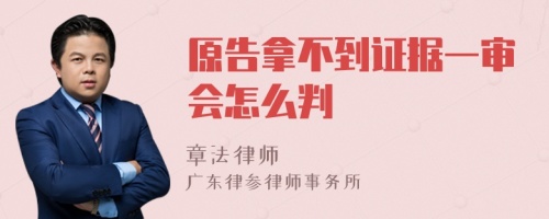 原告拿不到证据一审会怎么判