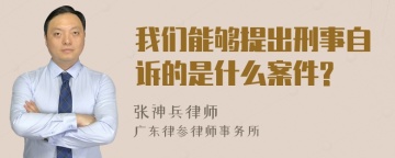 我们能够提出刑事自诉的是什么案件?