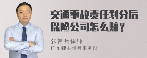 交通事故责任划分后保险公司怎么赔？