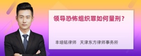 领导恐怖组织罪如何量刑？