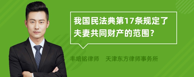 我国民法典第17条规定了夫妻共同财产的范围？