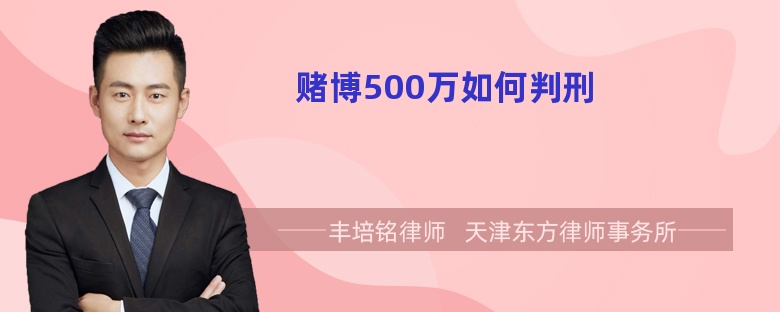 赌博500万如何判刑