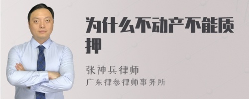 为什么不动产不能质押