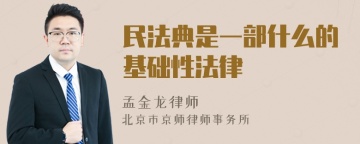 民法典是一部什么的基础性法律