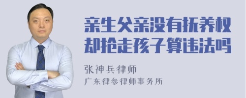 亲生父亲没有抚养权却抢走孩子算违法吗