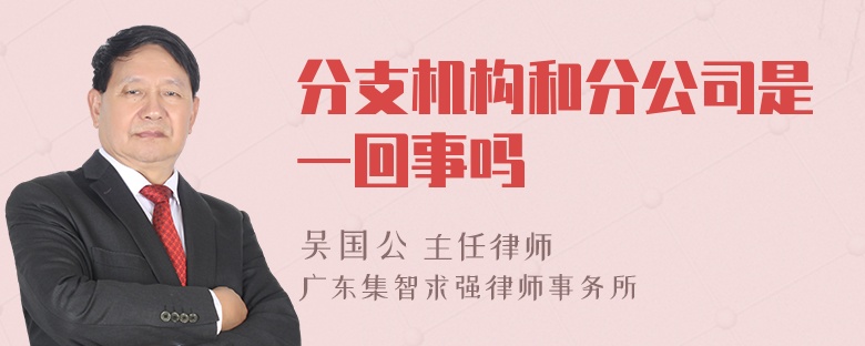 分支机构和分公司是一回事吗