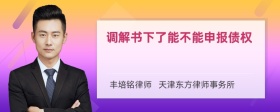 调解书下了能不能申报债权