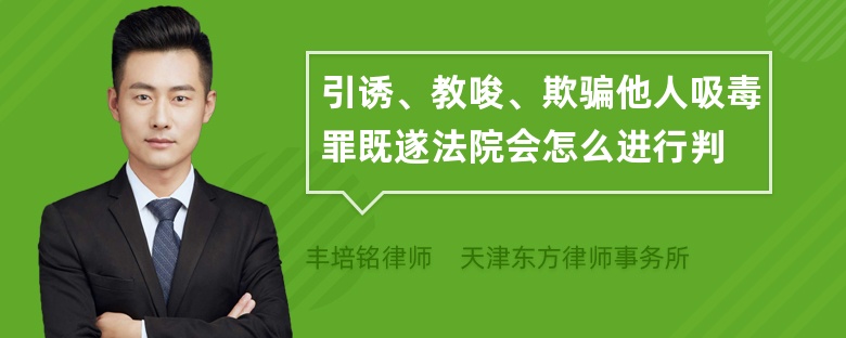 引诱、教唆、欺骗他人吸毒罪既遂法院会怎么进行判