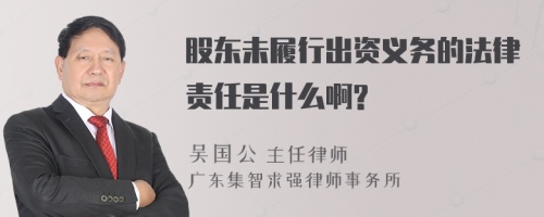 股东未履行出资义务的法律责任是什么啊?