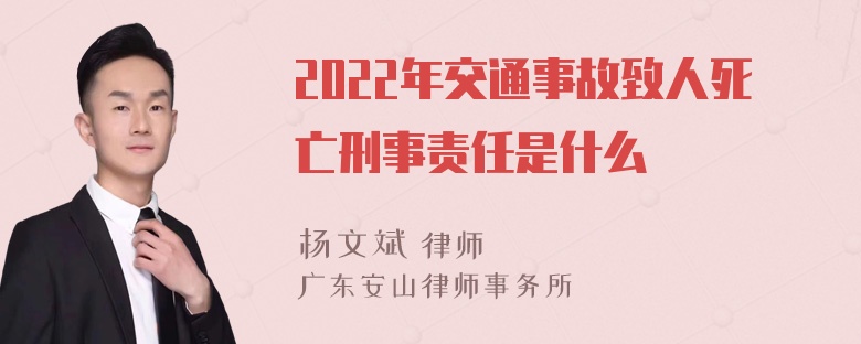 2022年交通事故致人死亡刑事责任是什么