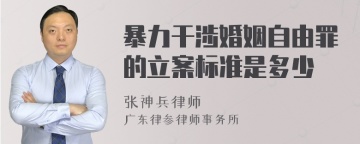 暴力干涉婚姻自由罪的立案标准是多少