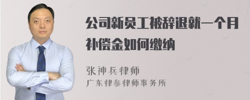 公司新员工被辞退就一个月补偿金如何缴纳