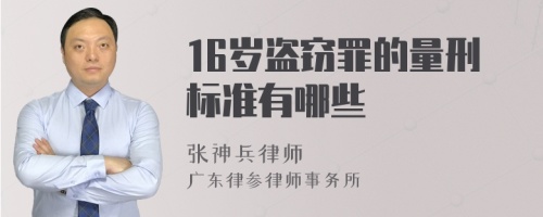 16岁盗窃罪的量刑标准有哪些