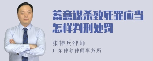 蓄意谋杀致死罪应当怎样判刑处罚