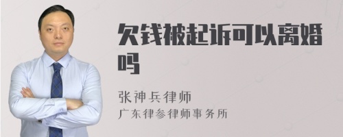 欠钱被起诉可以离婚吗