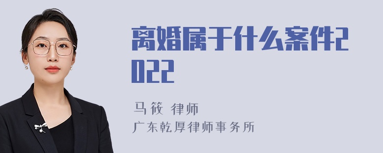 离婚属于什么案件2022