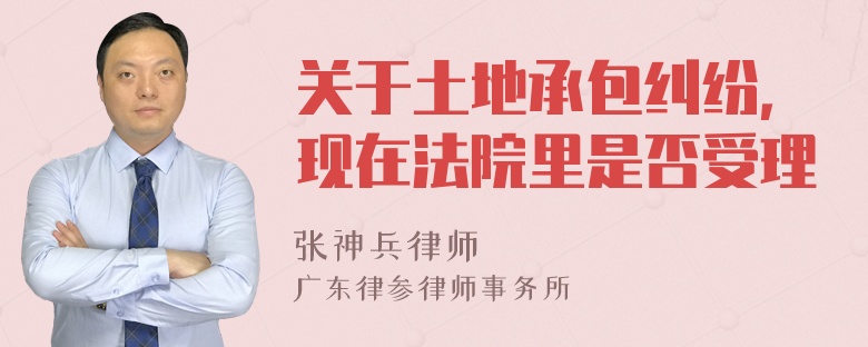 关于土地承包纠纷，现在法院里是否受理