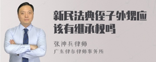 新民法典侄子外甥应该有继承权吗