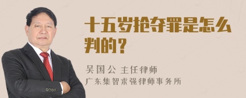 十五岁抢夺罪是怎么判的？