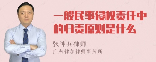 一般民事侵权责任中的归责原则是什么