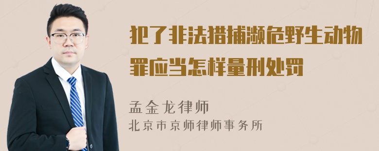 犯了非法猎捕濒危野生动物罪应当怎样量刑处罚